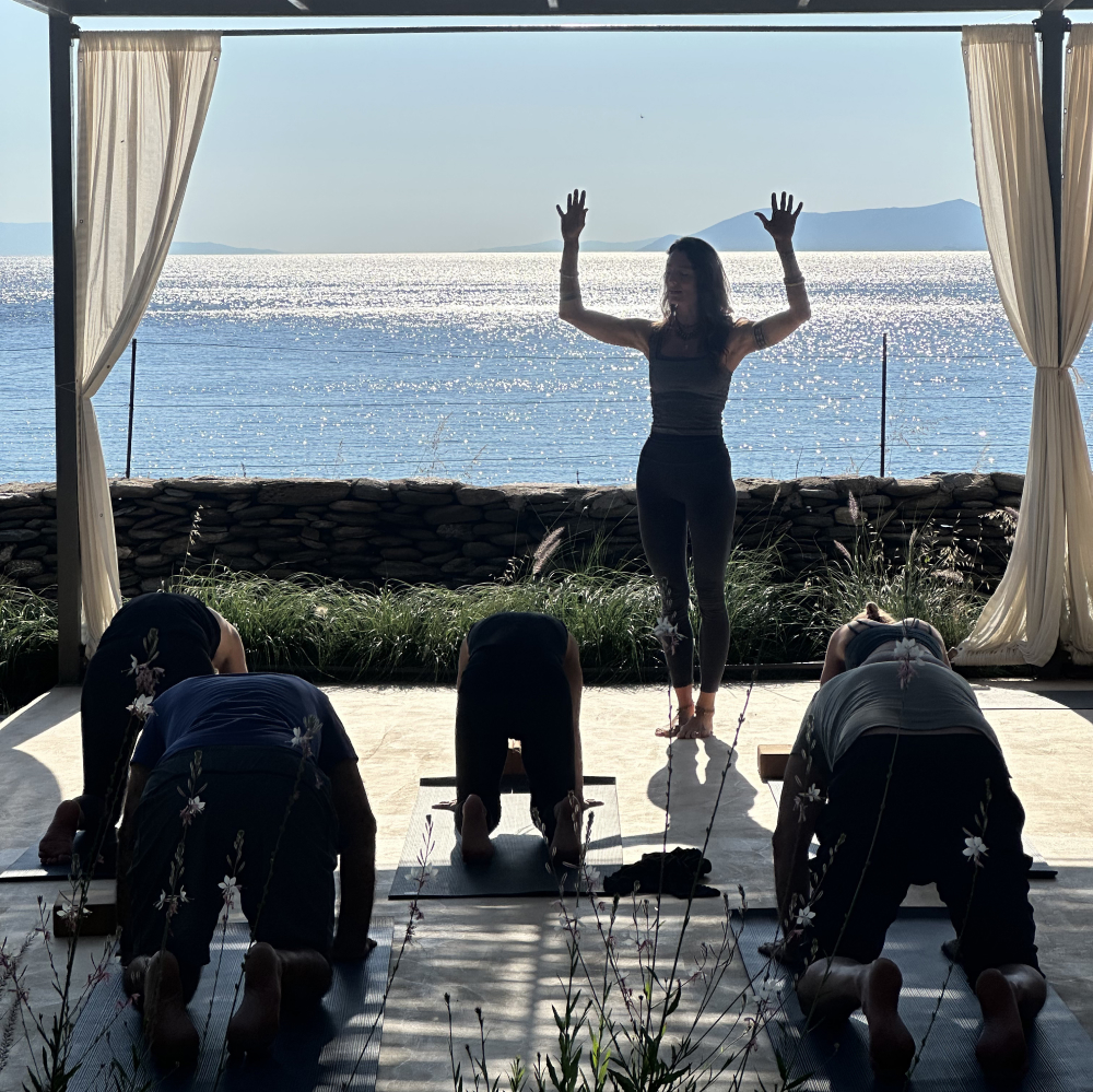 Home Within: A Restorative Yoga & Meditation Retreat photo 1