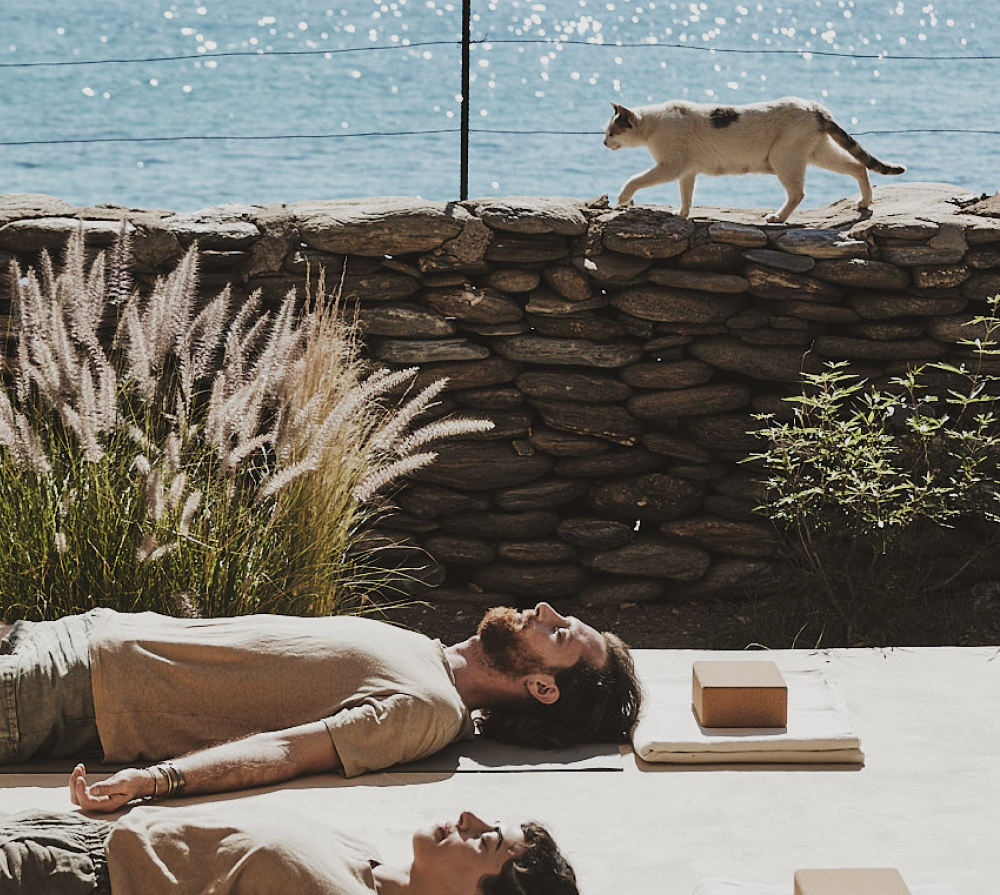 Home Within: A Restorative Yoga & Meditation Retreat photo 3