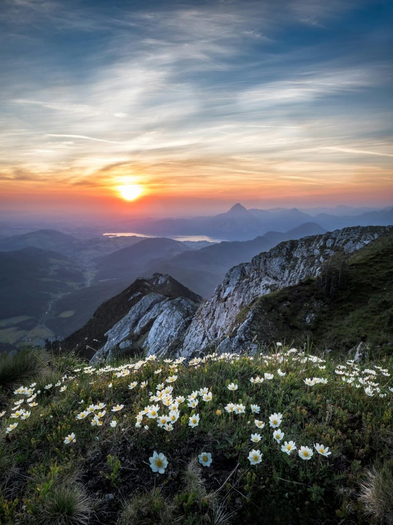 Natural Awareness Resting In Effortless Presence photo 28