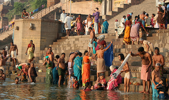The Arrigo Programme India photo 1