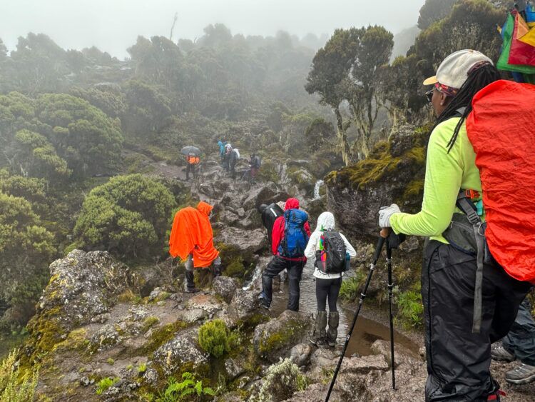 Mount Kilimanjaro Alumni photo 1