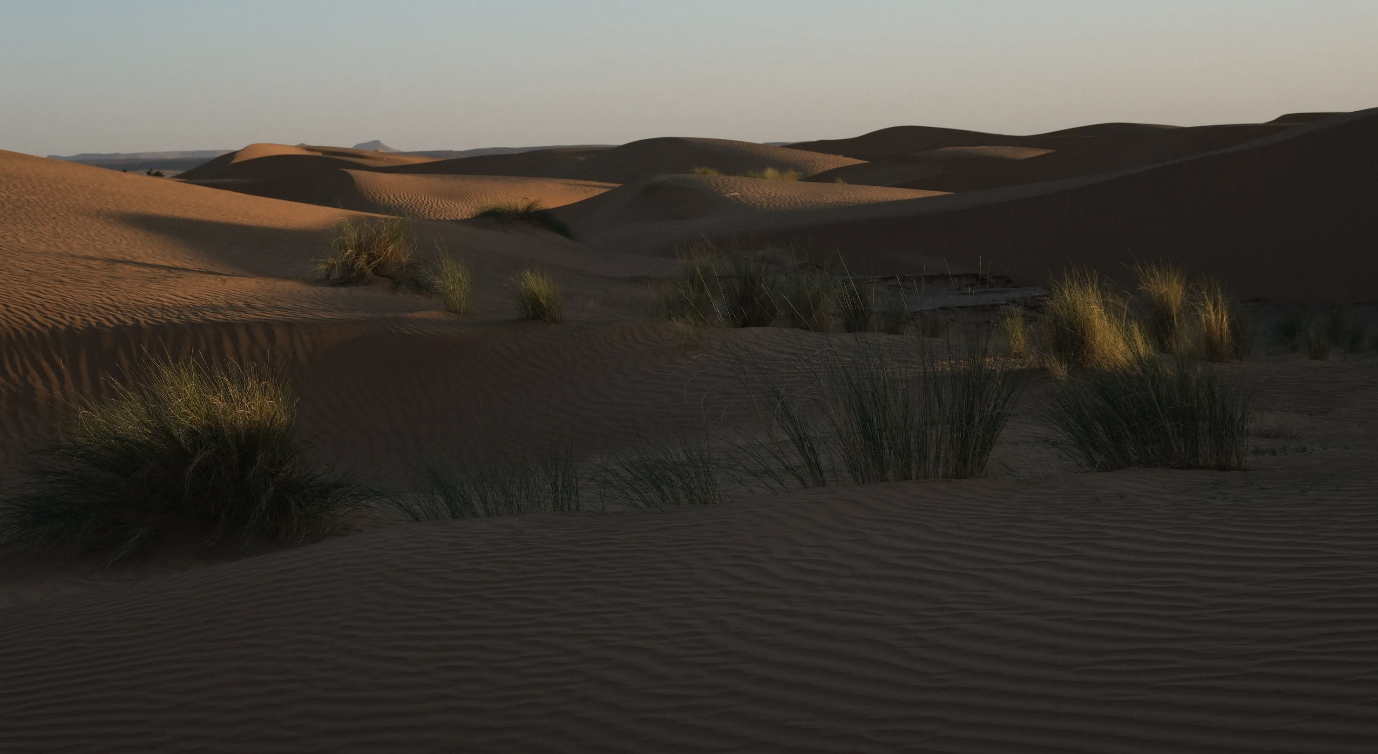 Zen Sand: A Meditation Pilgrimage photo 1
