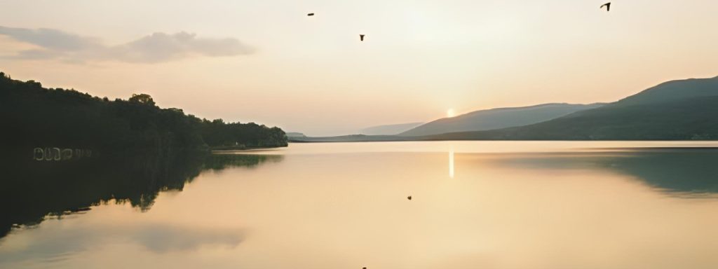Finding Stillness When Life Wont Slow Down photo 1