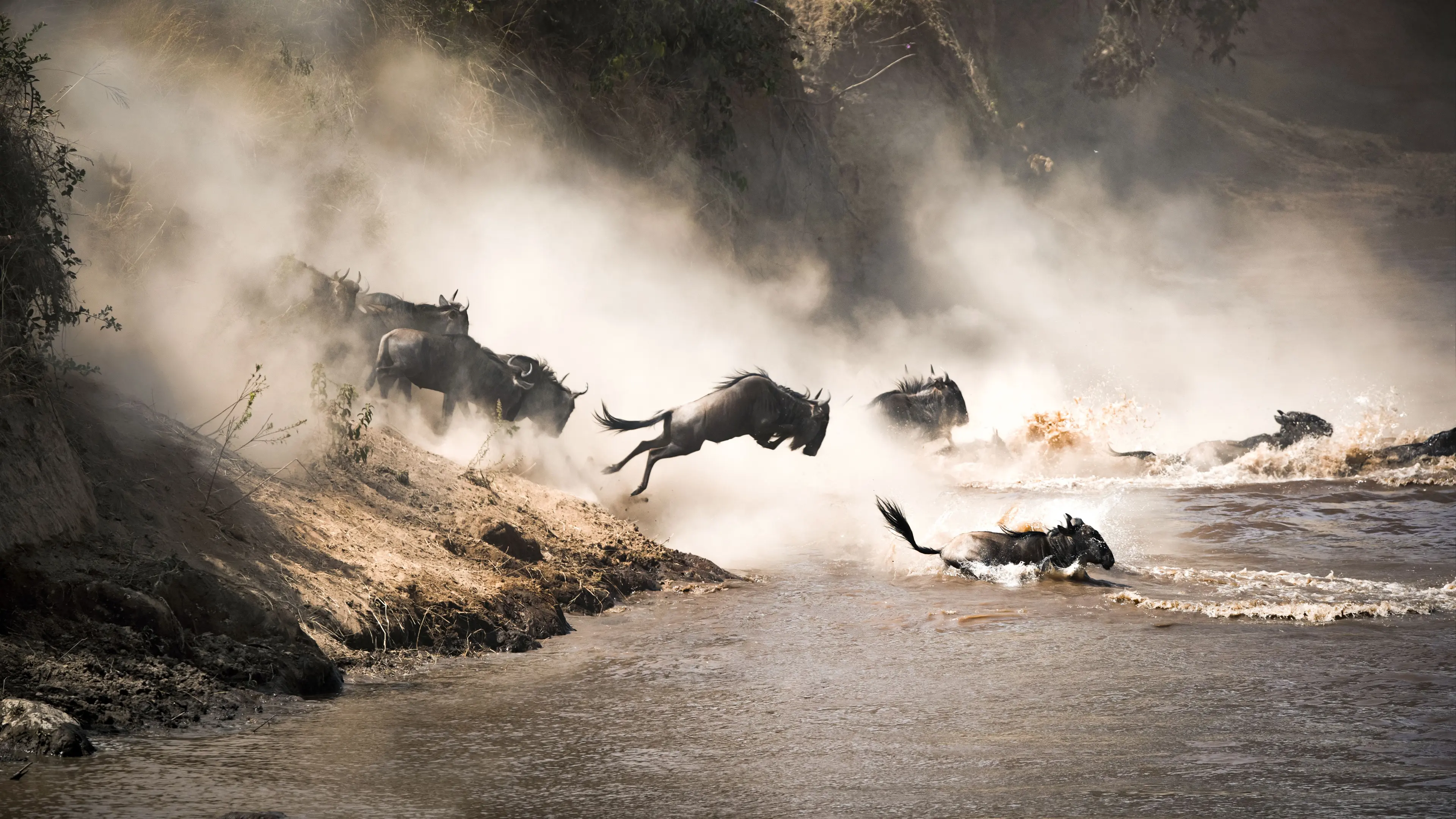 East Africas Great Migration photo 1