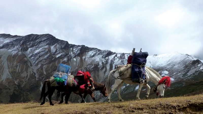 Jomolhari Base Camp Trek photo 3