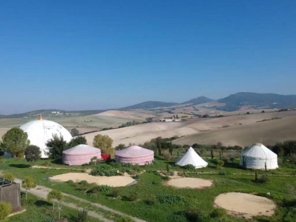 Seville Acupuncture & Yoga Retreat photo 2