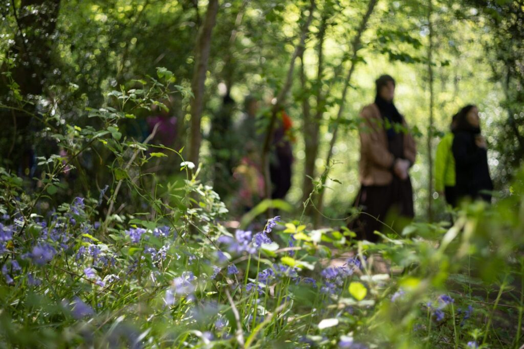 Plum Village Uk Retreats 2026 photo 1