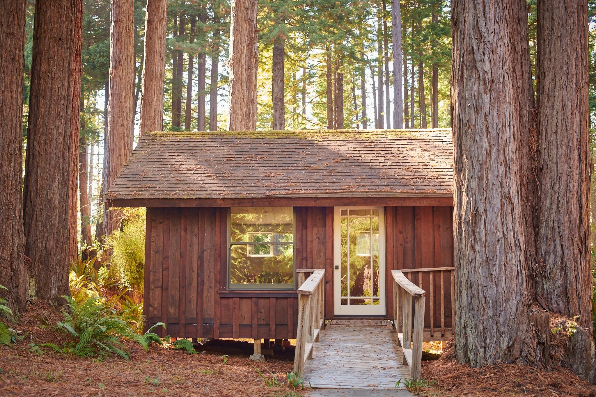 Mendocino Reset photo 1