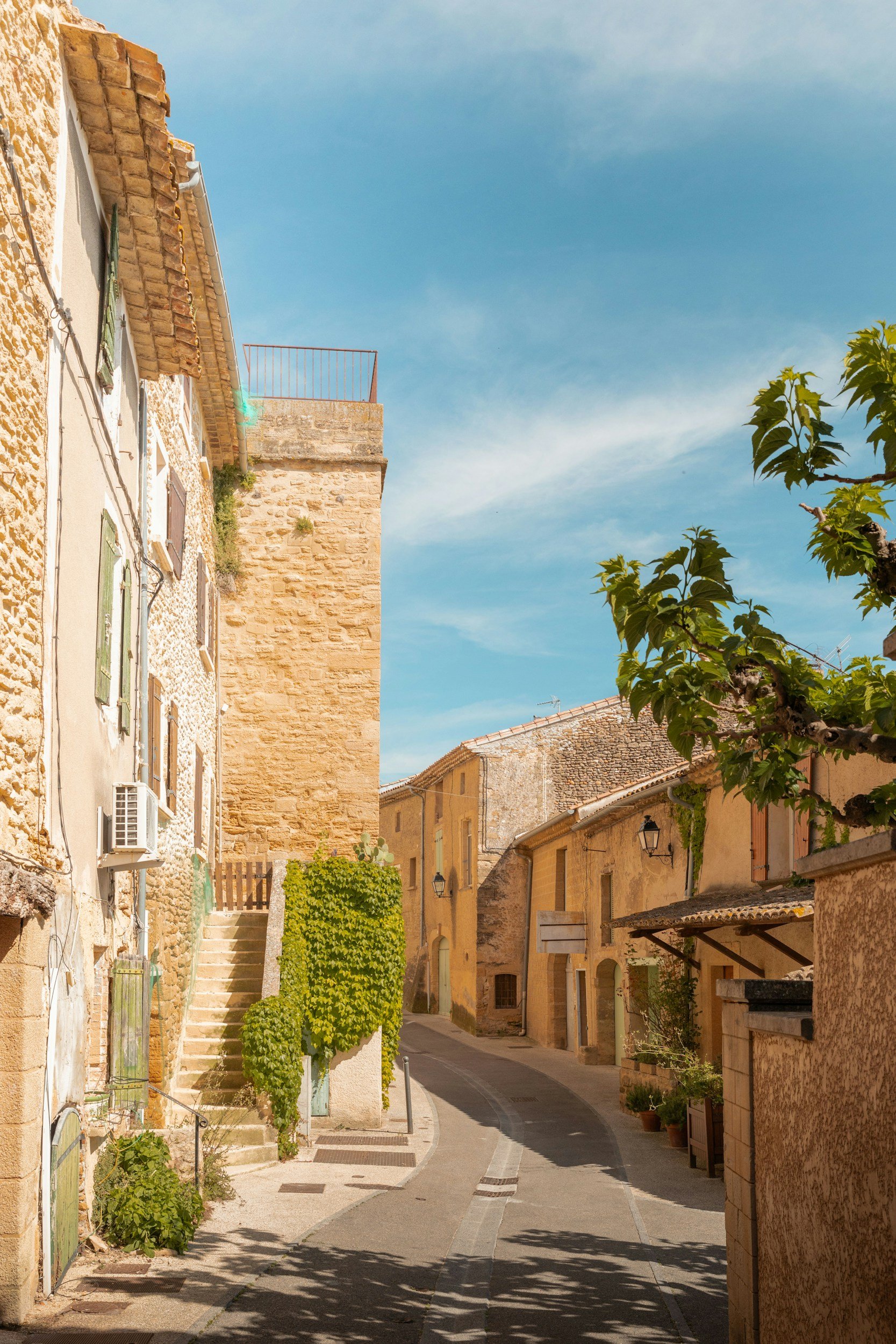 Woodland Wine Merchant In Provence photo 1