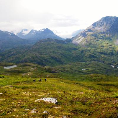 Alaska Backpacking And Sea Kayaking 16 And 17 Only Akx2 photo 3