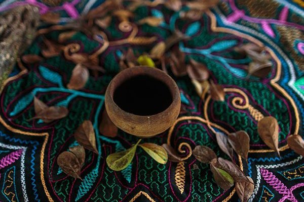 Womens Ayahuasca Retreat photo 3