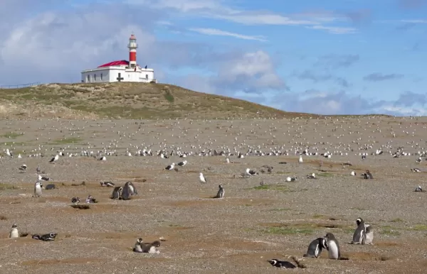 Patagonia Wildlife Safari photo 1