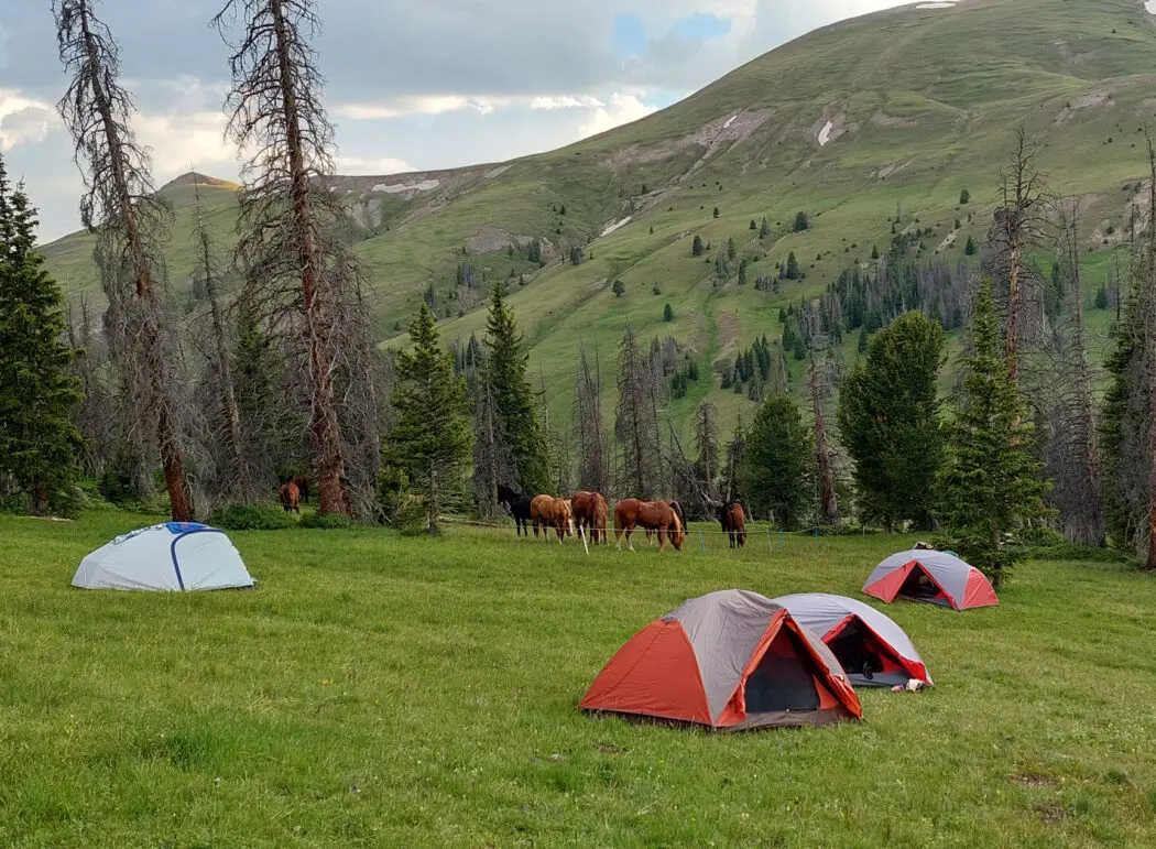 Bitterroot Cow Camp photo 2