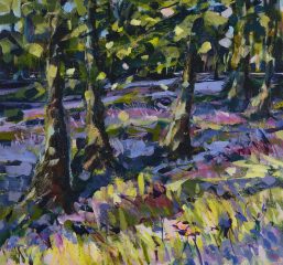 Dynamic Landscapes With Alison Orchard photo 1