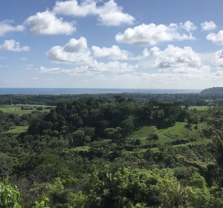 Ayahuasca Eco Retreat Costa Rica photo 4