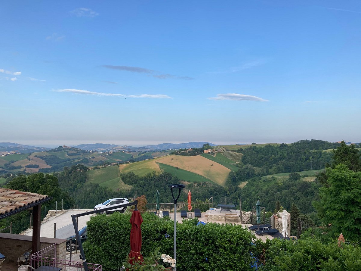 Learn Italian Wtih Irene Canovari photo 1