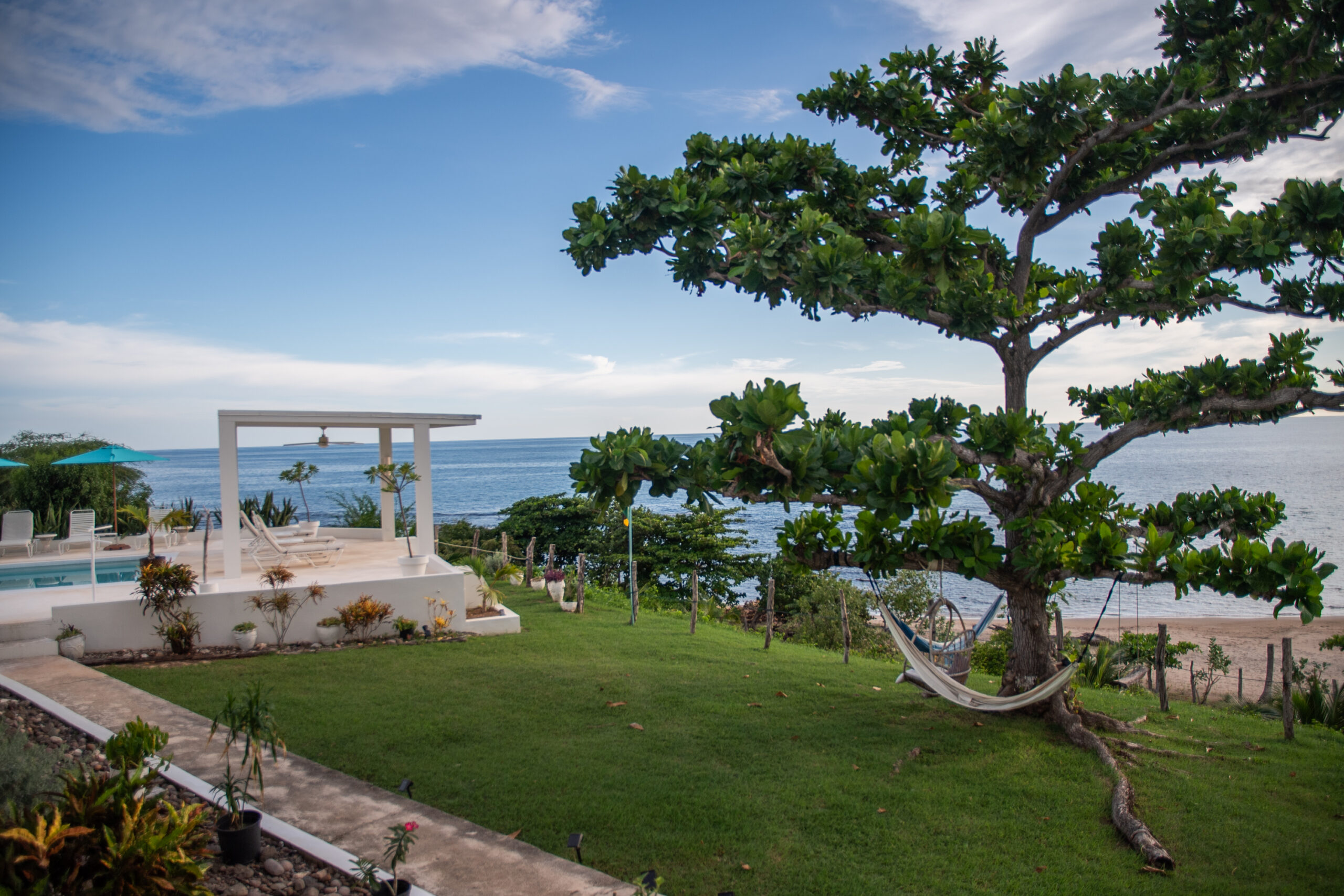 Rainbow Tree Psilocybin Retreats in Jamaica photo 1
