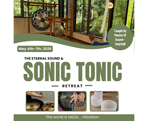 The Eternal Sound And Tonic Sonic Retreat May4 photo 349