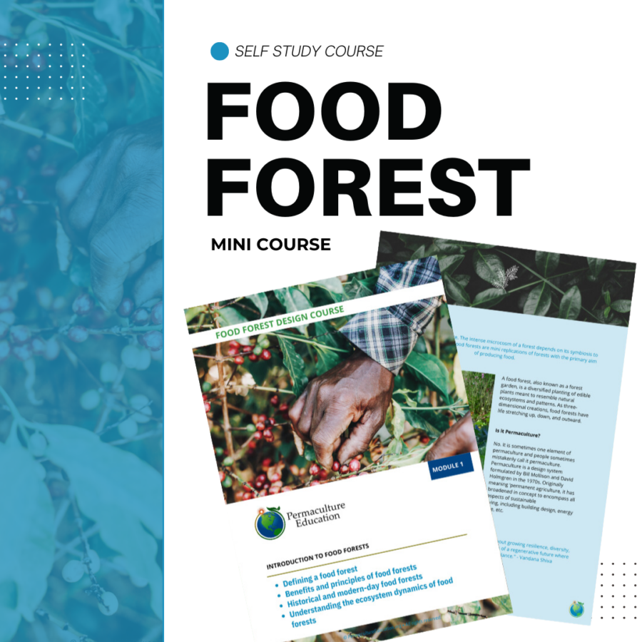 Food Forest Design Mini Course photo 2