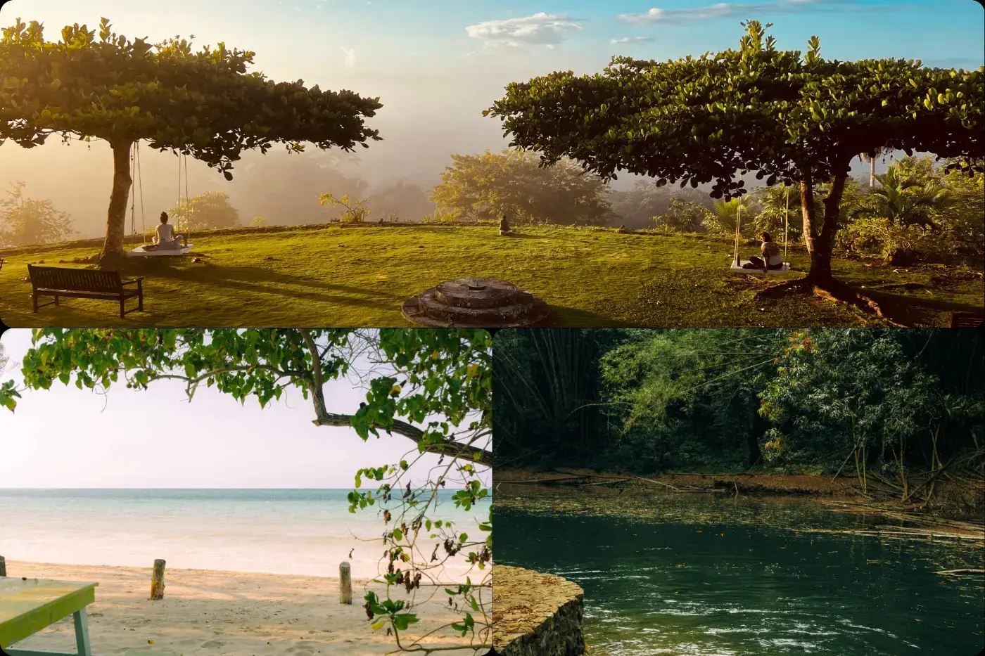 Jamaica Sanctuary For Women Of Color Waitlist photo 1