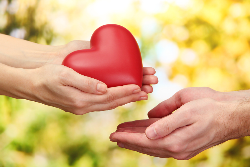 Workshop: The Power of Loving Kindness photo 1