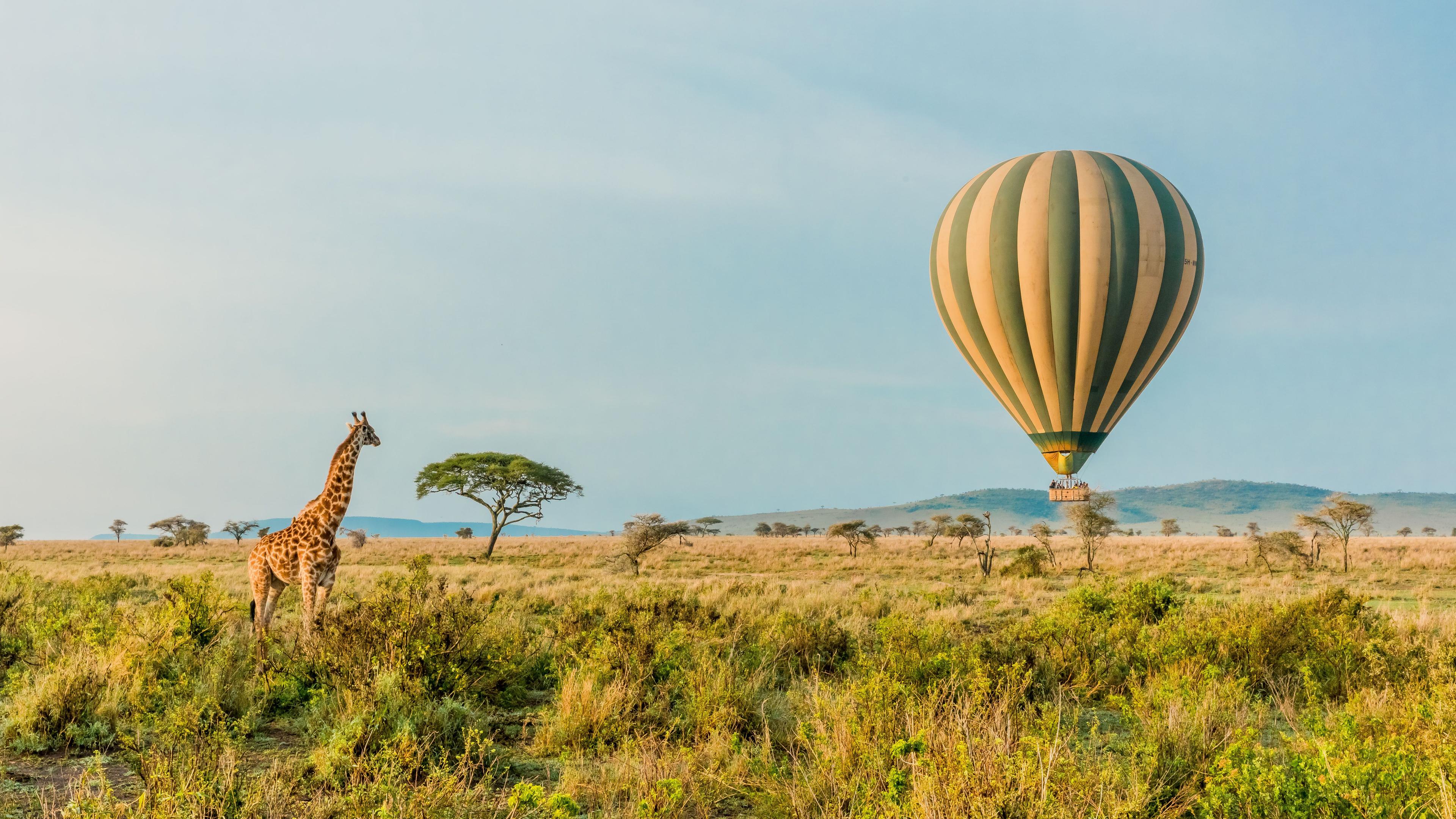Rwanda And Tanzania Wildlife Adventure photo 2