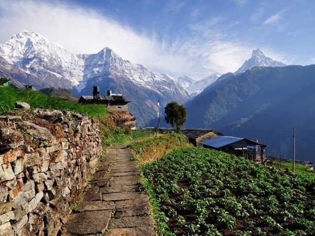 South American Run Retreats photo 1