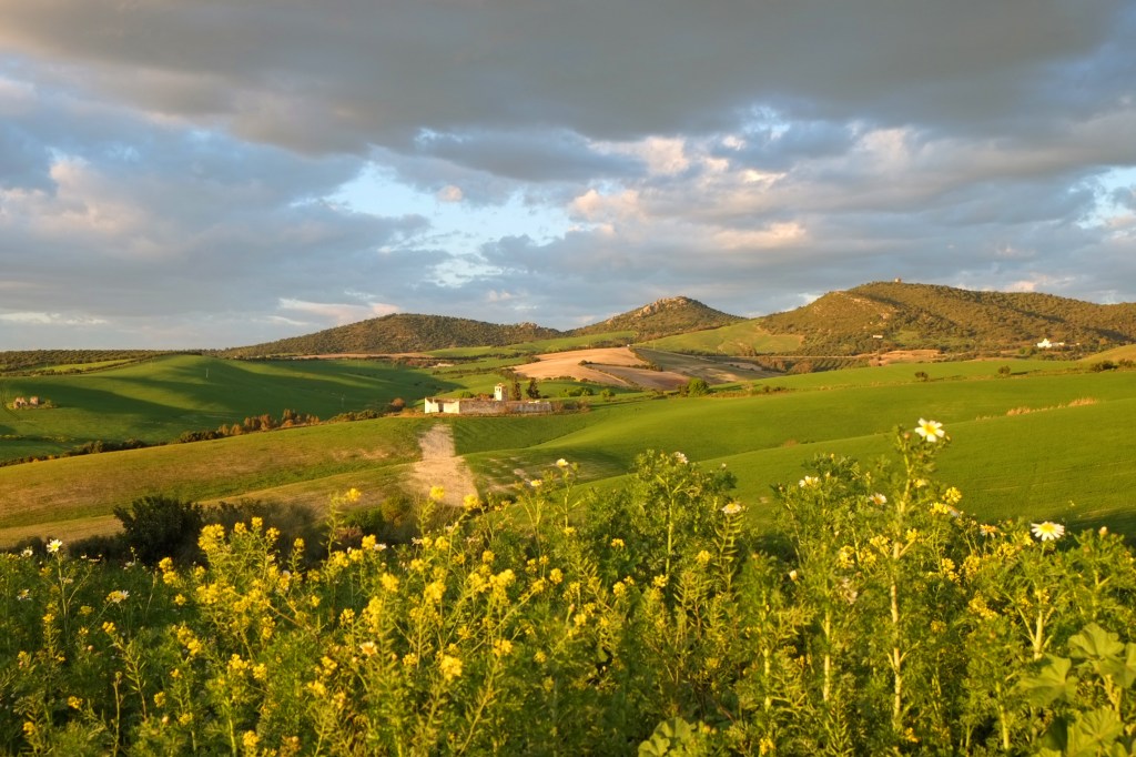 The Embodied Reset: May 16th-23rd, 2026 photo 2